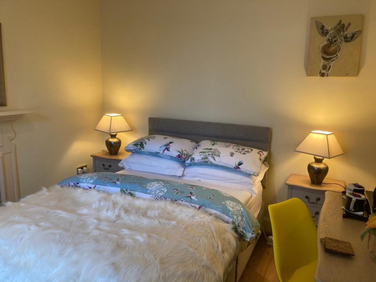 Mountroyal Victorian Self Catering Apartment 2 Belfast Extérieur photo